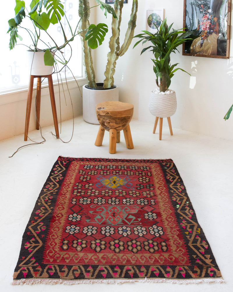 pile rug, Turkish rug, vintage rug, portland, rug shop, bright colors, wild shaman, area rug, red rug, mini rug, bold color, Portland, Oregon, rug store, rug shop, local shop, flat weave, kilim rug