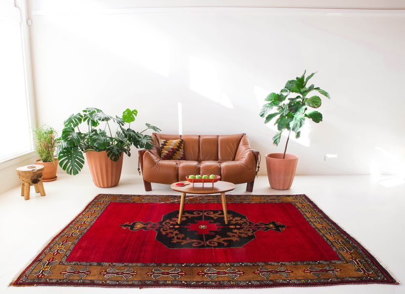 old rug, antique rug, Turkish rug, Portland, Oregon, rug store, rug shop, local shop, bright colors, wild shaman, large rug, area rug, red rug, bold color, burgundy, dark red