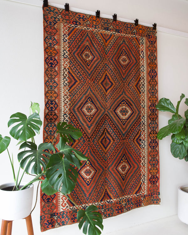 Vintage kilim rug in living room setting, bright colors, wild shaman, soft rug, bold color, Portland, Oregon, rug store, rug shop, local shop, vintage rug, modern kilim, warm colors