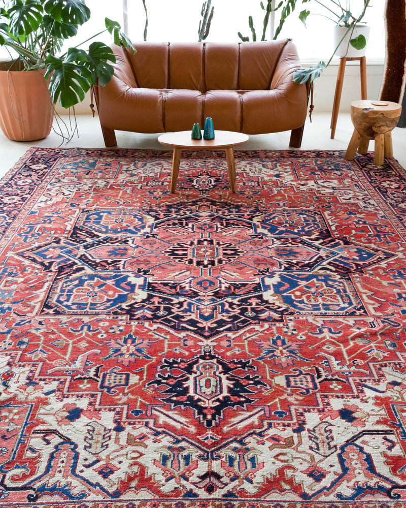 Vintage Persian rug in a living room setting, pile rug, Turkish rug, vintage rug, portland, rug shop, bright colors, wild shaman, soft rug, bold color, Portland, Oregon, rug store, rug shop, local shop, soft rug, pastel colors, faded colors, Persian rug, antique rug