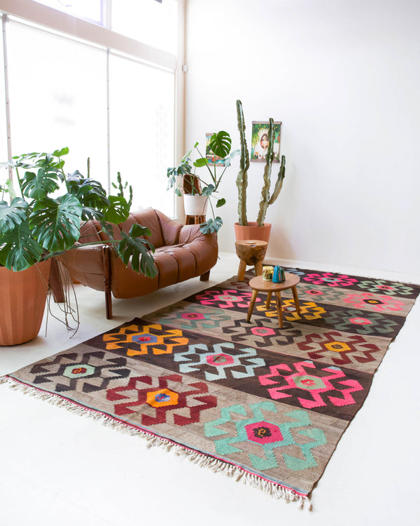 Vintage kilim rug in living room setting, bright colors, wild shaman, soft rug, bold color, Portland, Oregon, rug store, rug shop, local shop, vintage rug, modern kilim, warm colors