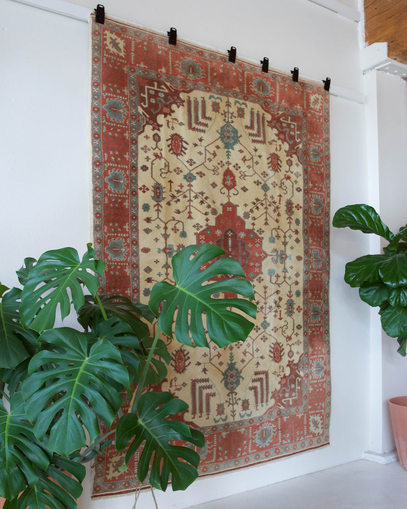 Vintage Turkish rug in living room setting, old rug, antique rug, pastel colors, faded colors, Turkish rug, vintage rug, soft rug, Portland, Oregon, rug store, rug shop, local shop