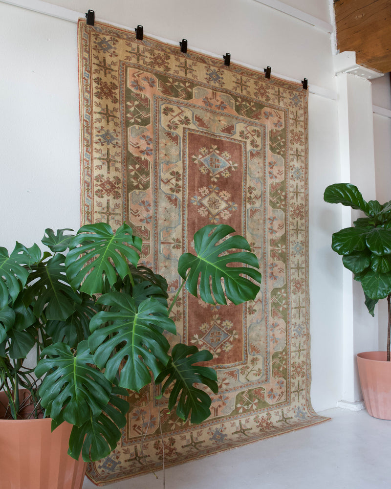 Vintage Turkish rug in living room setting, old rug, antique rug, pastel colors, faded colors, Turkish rug, vintage rug, soft rug, Portland, Oregon, rug store, rug shop, local shop