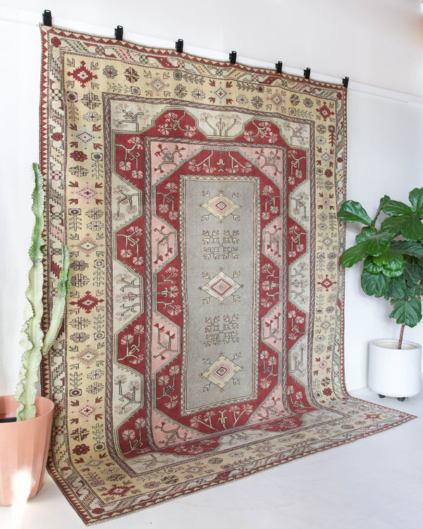 Vintage Turkish rug in living room setting, old rug, antique rug, pastel colors, faded colors, Turkish rug, vintage rug, soft rug, Portland, Oregon, rug store, rug shop, local shop