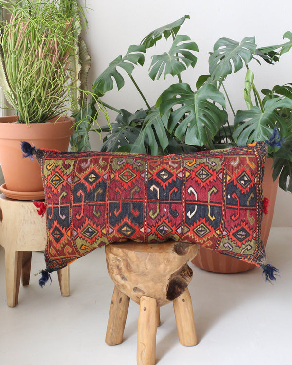 pillow, turkish pillow, kilim pillow, home decor, decorative pillow, sham, rug pillow, decor, home decor, pouf, floor cushion, cushion, Portland, rugshop, Oregon, Wild Shaman, ottoman