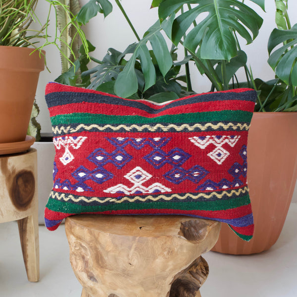 pillow, turkish pillow, kilim pillow, home decor, decorative pillow, sham, rug pillow, decor, home decor, pouf, floor cushion, cushion, Portland, rugshop, Oregon, Wild Shaman, ottoman