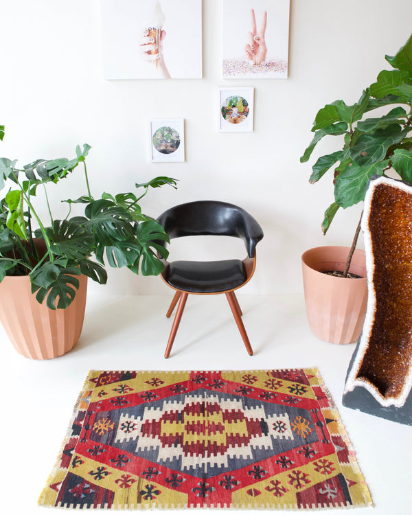 pile rug, Turkish rug, vintage rug, portland, rug shop, bright colors, wild shaman, area rug, red rug, mini rug, bold color, Portland, Oregon, rug store, rug shop, local shop, flat weave, kilim rug