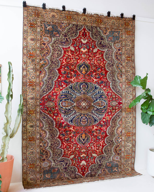 Vintage Turkish rug in a living room setting, pile rug, Turkish rug, vintage rug, portland, rug shop, bright colors, wild shaman, soft rug, bold color, Portland, Oregon, rug store, rug shop, local shop, antique rug