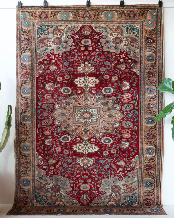 Vintage Turkish rug in a living room setting, pile rug, Turkish rug, vintage rug, portland, rug shop, bright colors, wild shaman, soft rug, bold color, Portland, Oregon, rug store, rug shop, local shop, antique rug