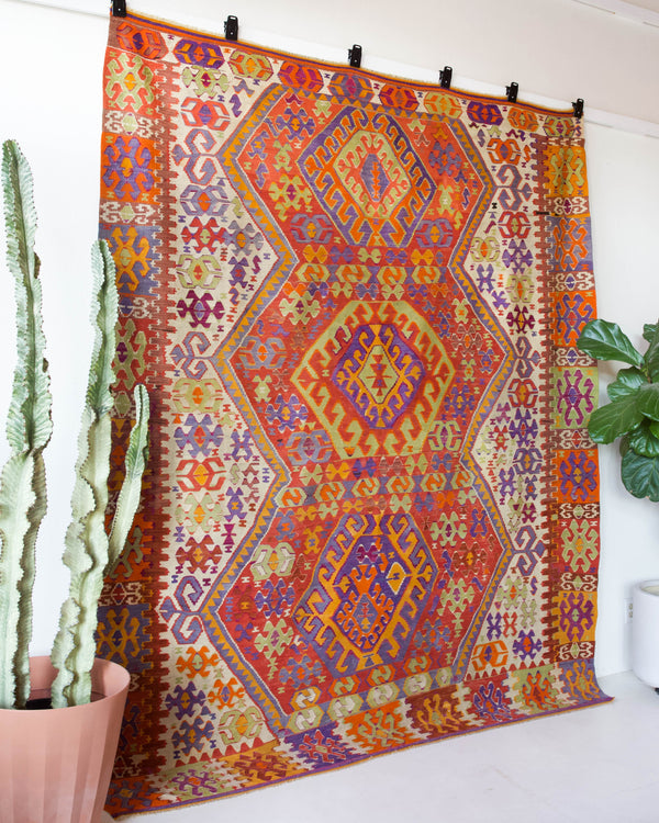 Vintage kilim rug in living room setting, bright colors, wild shaman, soft rug, bold color, Portland, Oregon, rug store, rug shop, local shop, vintage rug, modern kilim, warm colors