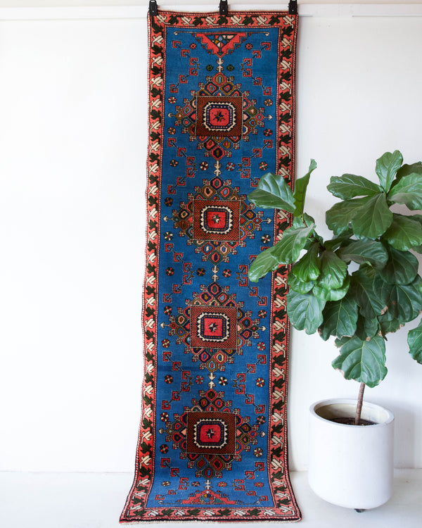 Vintage Turkish runner rug in a living room setting, pile rug, Turkish rug, vintage rug, portland, rug shop, bright colors, wild shaman, soft rug, bold color, Portland, Oregon, rug store, rug shop, local shop, antique rug