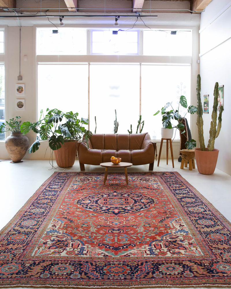 Antique Persian area rug in a living room setting, pile rug, vintage rug, portland, rug shop, bright colors, wild shaman, soft rug, bold color, Portland, Oregon, rug store, rug shop, local shop, antique rug, Persian rug, handmade rug, wool rug