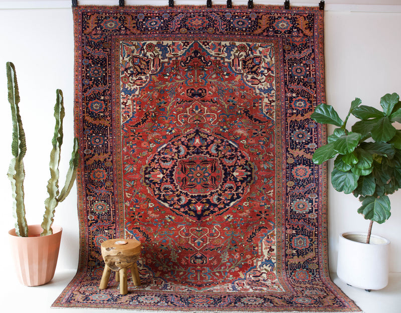 Antique Persian area rug in a living room setting, pile rug, vintage rug, portland, rug shop, bright colors, wild shaman, soft rug, bold color, Portland, Oregon, rug store, rug shop, local shop, antique rug, Persian rug, handmade rug, wool rug