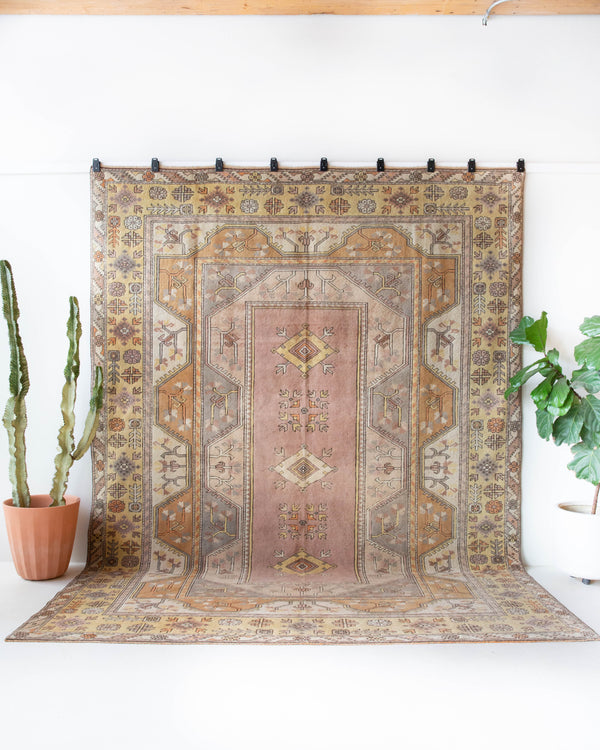 Vintage Turkish rug in living room setting, old rug, antique rug, pastel colors, faded colors, Turkish rug, vintage rug, soft rug, Portland, Oregon, rug store, rug shop, local shop