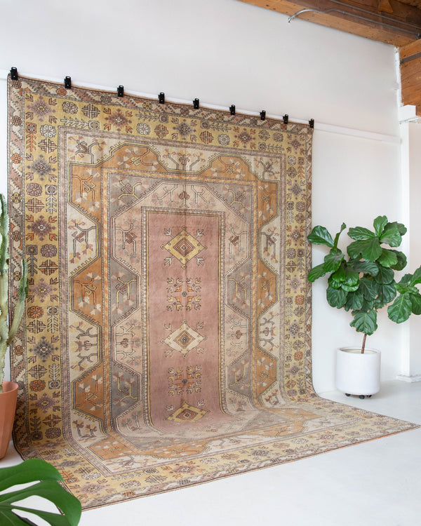 Vintage Turkish rug in living room setting, old rug, antique rug, pastel colors, faded colors, Turkish rug, vintage rug, soft rug, Portland, Oregon, rug store, rug shop, local shop