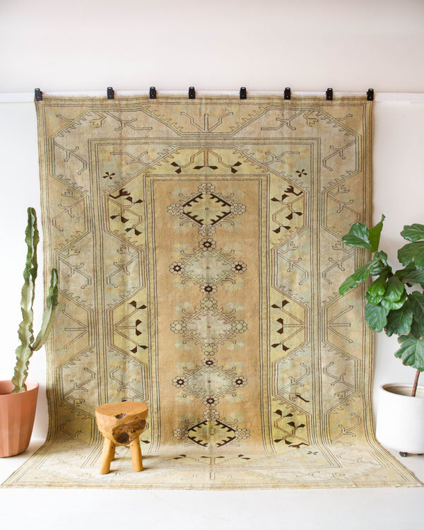 Vintage Turkish rug in living room setting, old rug, antique rug, pastel colors, faded colors, Turkish rug, vintage rug, soft rug, Portland, Oregon, rug store, rug shop, local shop