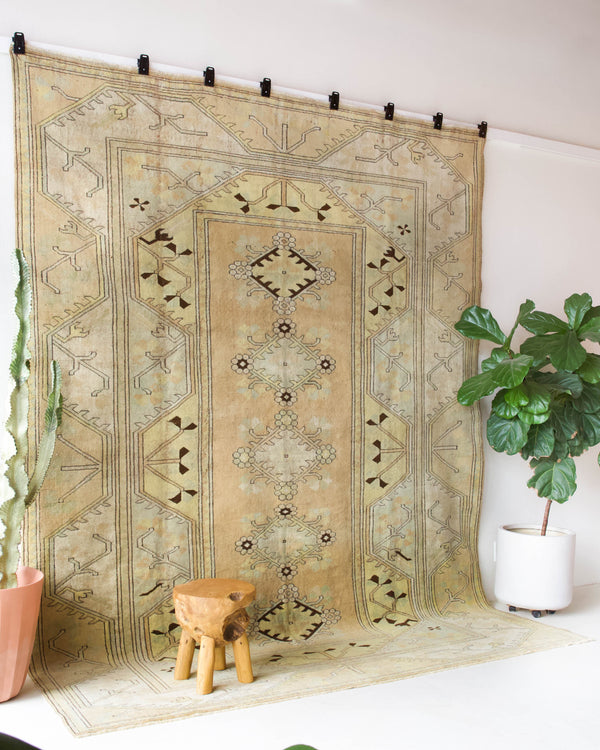 Vintage Turkish rug in living room setting, old rug, antique rug, pastel colors, faded colors, Turkish rug, vintage rug, soft rug, Portland, Oregon, rug store, rug shop, local shop