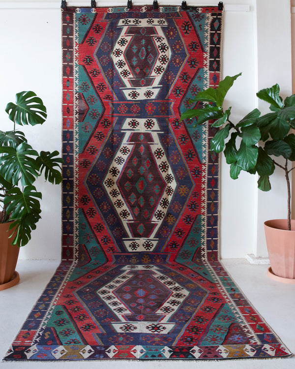 Vintage kilim rug in living room setting, bright colors, wild shaman, soft rug, bold color, Portland, Oregon, rug store, rug shop, local shop, vintage rug, modern kilim, warm colors