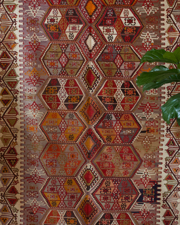 Vintage kilim rug in living room setting, bright colors, wild shaman, soft rug, bold color, Portland, Oregon, rug store, rug shop, local shop, vintage rug, modern kilim, warm colors