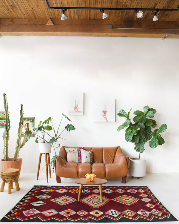 Vintage kilim rug in living room setting, bright colors, wild shaman, soft rug, bold color, Portland, Oregon, rug store, rug shop, local shop, vintage rug, modern kilim, warm colors