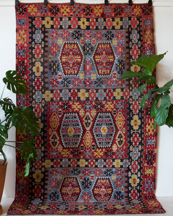 Vintage kilim rug in living room setting, bright colors, wild shaman, soft rug, bold color, Portland, Oregon, rug store, rug shop, local shop, vintage rug, modern kilim, warm colors