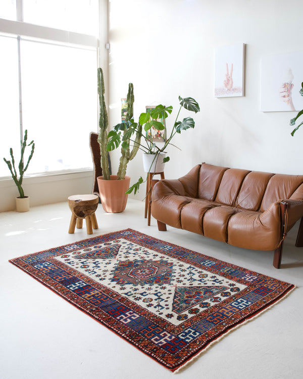 Vintage Turkish rug in a living room setting, pile rug, Turkish rug, vintage rug, portland, rug shop, bright colors, wild shaman, soft rug, bold color, Portland, Oregon, rug store, rug shop, local shop, antique rug