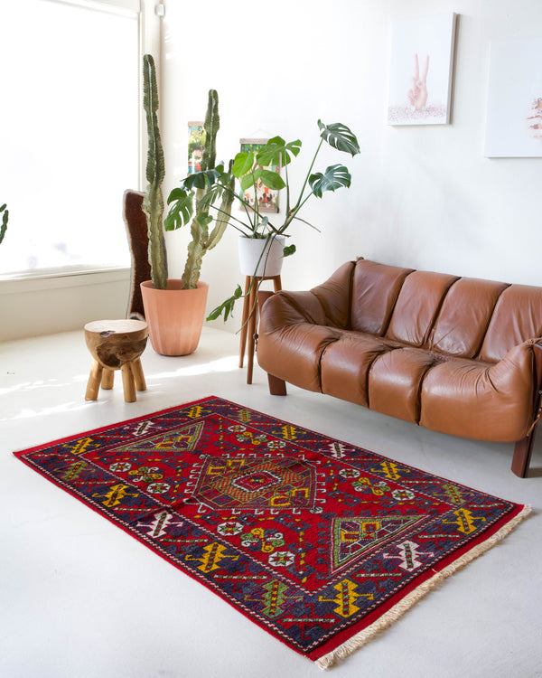 Vintage Turkish rug in a living room setting, pile rug, Turkish rug, vintage rug, portland, rug shop, bright colors, wild shaman, soft rug, bold color, Portland, Oregon, rug store, rug shop, local shop, antique rug