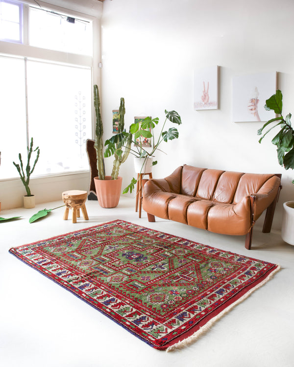 Vintage Turkish rug in a living room setting, pile rug, Turkish rug, vintage rug, portland, rug shop, bright colors, wild shaman, soft rug, bold color, Portland, Oregon, rug store, rug shop, local shop, antique rug, earthy colors