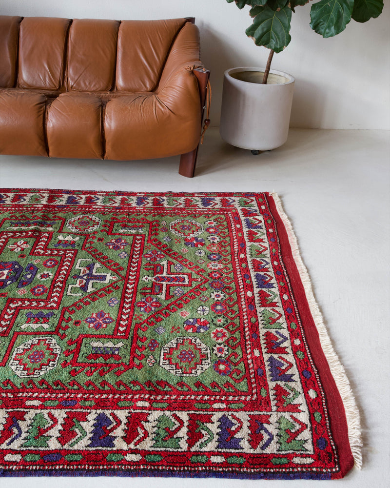 Vintage Turkish rug in a living room setting, pile rug, Turkish rug, vintage rug, portland, rug shop, bright colors, wild shaman, soft rug, bold color, Portland, Oregon, rug store, rug shop, local shop, antique rug, earthy colors