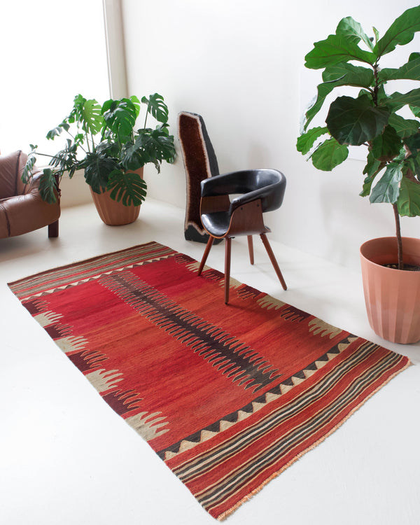 Turkish rug, vintage rug, flat weave, kilim rug, large area rug, square rug, Wild Shaman, Portland, Oregon, rug store, rug shop, local shop,  bright colors, area rug, red rug, bold color