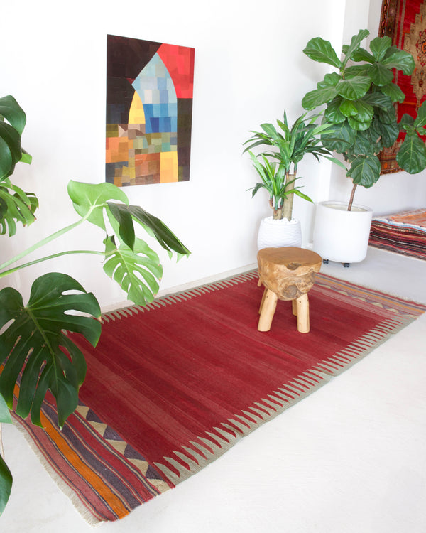 Vintage kilim rug in living room setting, bright colors, wild shaman, soft rug, bold color, Portland, Oregon, rug store, rug shop, local shop, vintage rug, modern kilim, warm colors