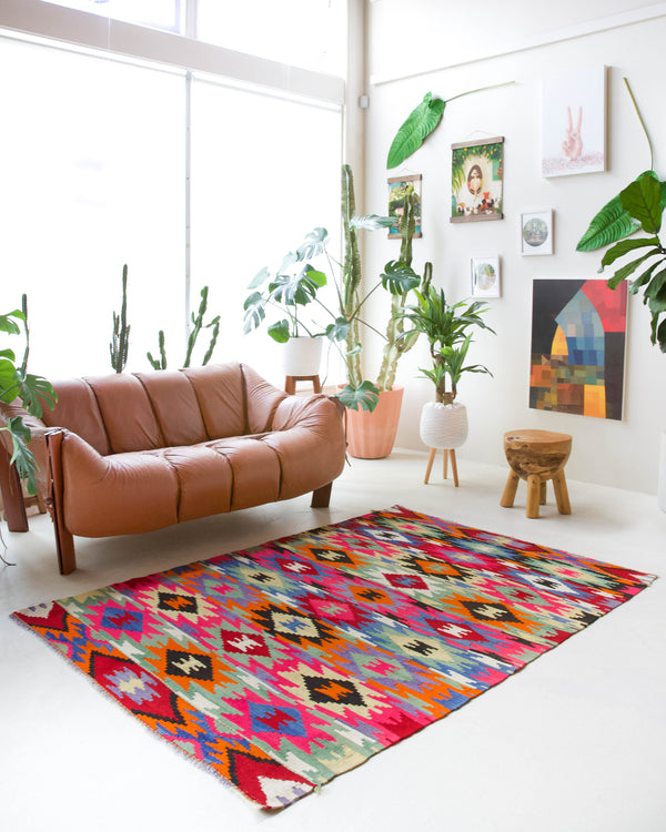 Vintage kilim rug in living room setting, bright colors, wild shaman, soft rug, bold color, Portland, Oregon, rug store, rug shop, local shop, vintage rug, modern kilim, warm colors