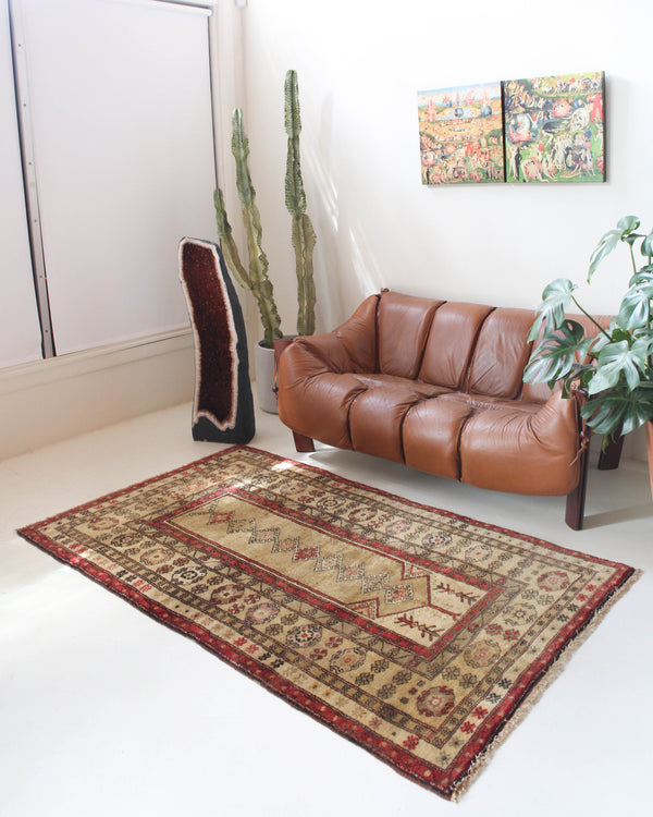 old rug, antique rug, earthy colors, faded colors, Turkish rug, vintage rug, soft rug, Portland, Oregon, rug store, rug shop, local shop, bold colors