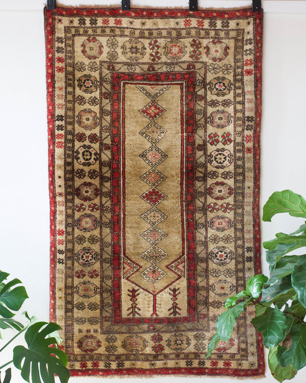 old rug, antique rug, earthy colors, faded colors, Turkish rug, vintage rug, soft rug, Portland, Oregon, rug store, rug shop, local shop, bold colors