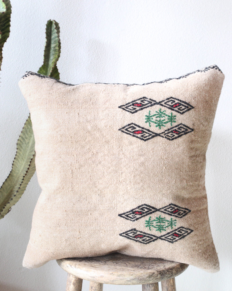 pillow, turkish pillow, kilim pillow, home decor, decorative pillow, sham, rug pillow, decor, home decor, pouf, floor cushion, cushion, Portland, rugshop, Oregon, Wild Shaman, ottoman