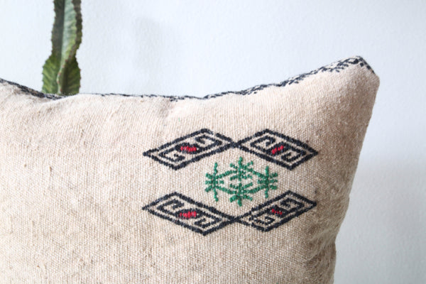 pillow, turkish pillow, kilim pillow, home decor, decorative pillow, sham, rug pillow, decor, home decor, pouf, floor cushion, cushion, Portland, rugshop, Oregon, Wild Shaman, ottoman