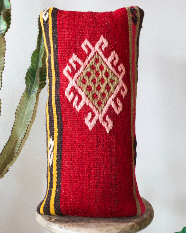 pillow, turkish pillow, kilim pillow, home decor, decorative pillow, sham, rug pillow, decor, home decor, pouf, floor cushion, cushion, Portland, rugshop, Oregon, Wild Shaman, ottoman