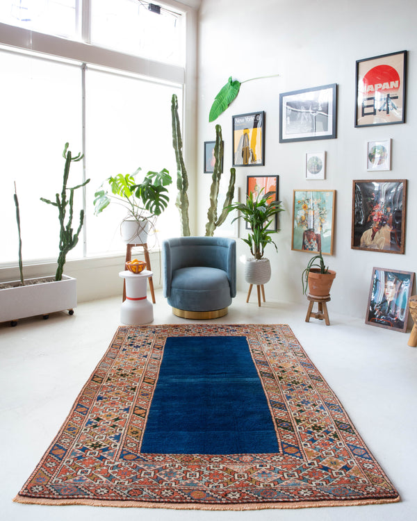 Vintage Turkish rug in a living room setting, pile rug, Turkish rug, vintage rug, portland, rug shop, bright colors, wild shaman, soft rug, bold color, Portland, Oregon, rug store, rug shop, local shop, antique rug