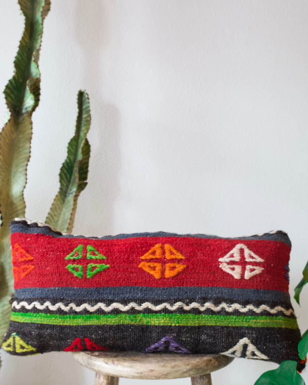 pillow, turkish pillow, kilim pillow, home decor, decorative pillow, sham, rug pillow, decor, home decor, pouf, floor cushion, cushion, Portland, rugshop, Oregon, Wild Shaman, ottoman