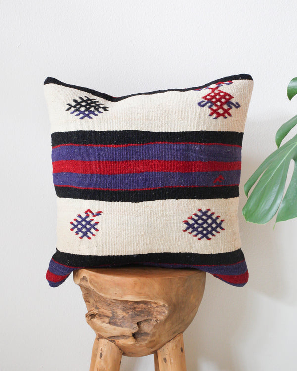 pillow, turkish pillow, kilim pillow, home decor, decorative pillow, sham, rug pillow, decor, home decor, pouf, floor cushion, cushion, Portland, rugshop, Oregon, Wild Shaman, ottoman