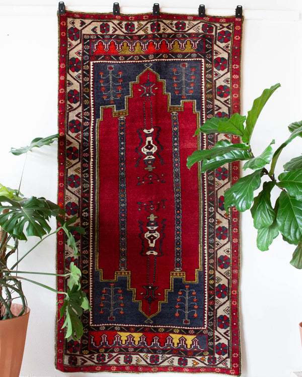 Vintage Turkish rug in a living room setting, pile rug, Turkish rug, vintage rug, portland, rug shop, bright colors, wild shaman, soft rug, bold color, Portland, Oregon, rug store, rug shop, local shop, antique rug