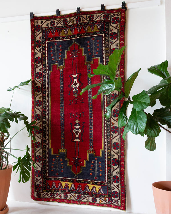 Vintage Turkish rug in a living room setting, pile rug, Turkish rug, vintage rug, portland, rug shop, bright colors, wild shaman, soft rug, bold color, Portland, Oregon, rug store, rug shop, local shop, antique rug