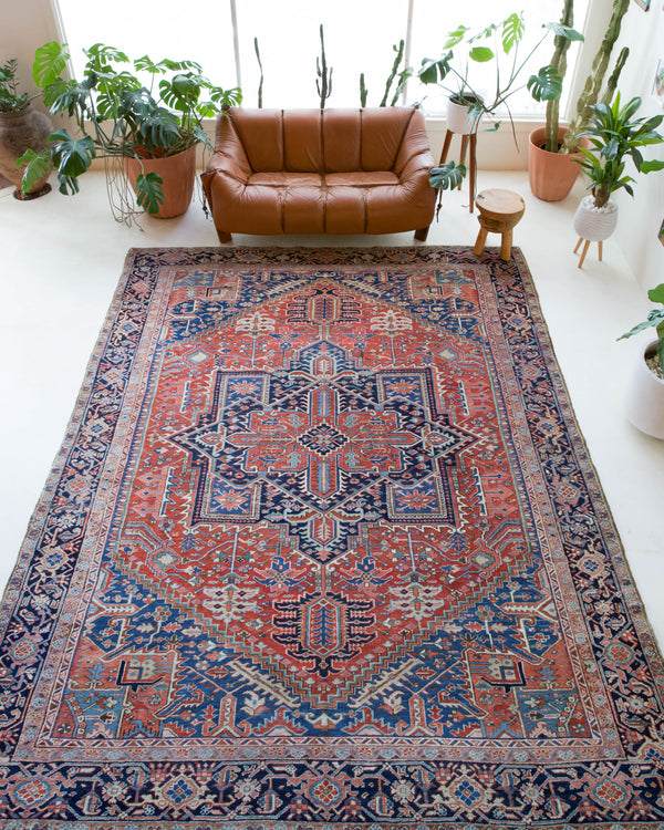 Antique Persian area rug in a living room setting, pile rug, vintage rug, portland, rug shop, bright colors, wild shaman, soft rug, bold color, Portland, Oregon, rug store, rug shop, local shop, antique rug, Persian rug, handmade rug, wool rug, distressed rug