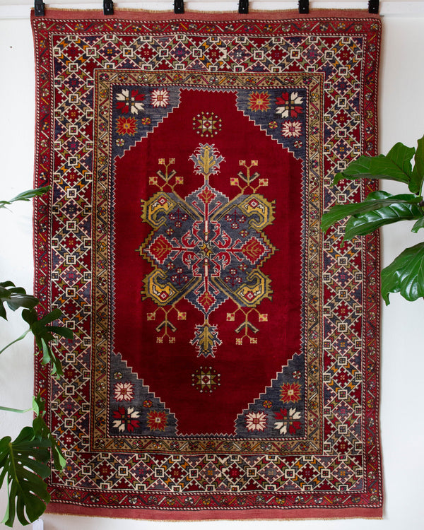 Vintage Turkish rug in a living room setting, pile rug, Turkish rug, vintage rug, portland, rug shop, bright colors, wild shaman, soft rug, bold color, Portland, Oregon, rug store, rug shop, local shop, antique rug