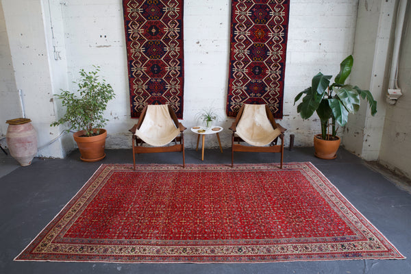 old rug, antique rug, Turkish rug, Portland, Oregon, rug store, rug shop, local shop, bright colors, wild shaman, large rug, area rug, red rug, bold color, burgundy, dark red