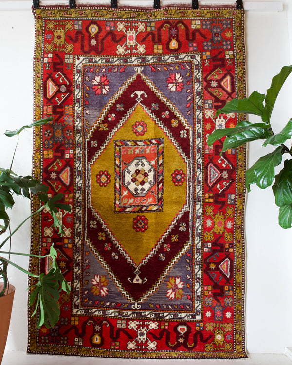 Vintage Turkish rug in a living room setting, pile rug, Turkish rug, vintage rug, portland, rug shop, bright colors, wild shaman, soft rug, bold color, Portland, Oregon, rug store, rug shop, local shop, antique rug