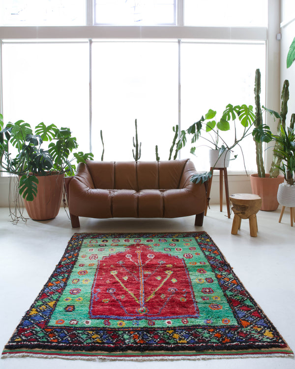 Vintage Turkish rug in a living room setting, pile rug, Turkish rug, vintage rug, portland, rug shop, bright colors, wild shaman, soft rug, bold color, Portland, Oregon, rug store, rug shop, local shop, antique rug