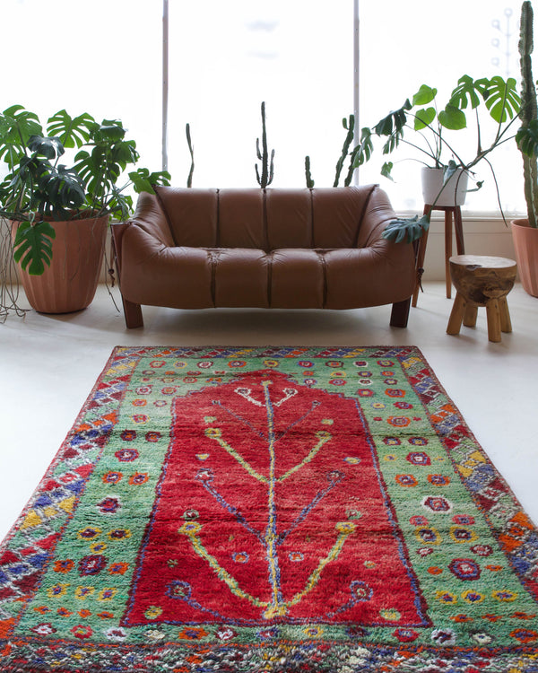 Vintage Turkish rug in a living room setting, pile rug, Turkish rug, vintage rug, portland, rug shop, bright colors, wild shaman, soft rug, bold color, Portland, Oregon, rug store, rug shop, local shop, antique rug