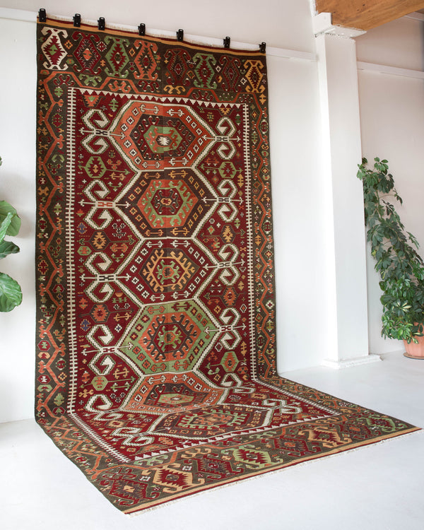 Vintage kilim rug in living room setting, bright colors, wild shaman, soft rug, bold color, Portland, Oregon, rug store, rug shop, local shop, vintage rug, modern kilim, warm colors