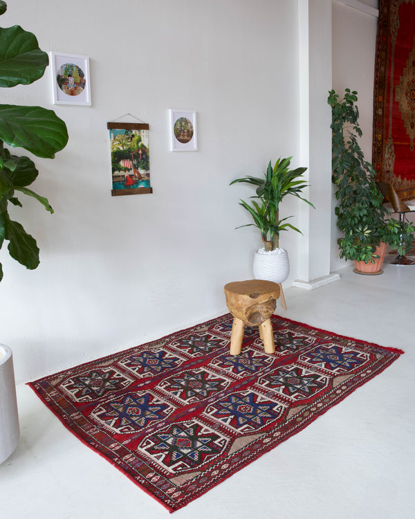 Vintage kilim rug in living room setting, bright colors, wild shaman, soft rug, bold color, Portland, Oregon, rug store, rug shop, local shop, vintage rug, modern kilim, warm colors